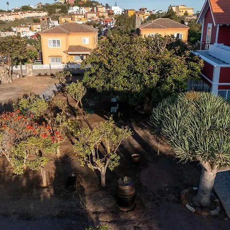 Albor * Santa Brígida